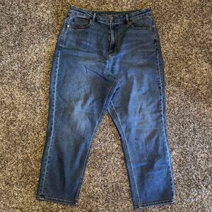 American Eagle Outfitters Relaxed Fit Blue Jeans